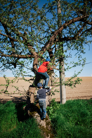 Uckermark Summer