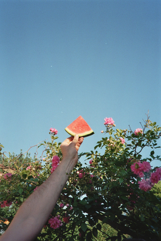 Summer Melon