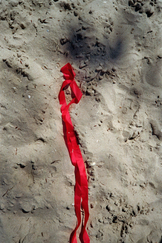 Beach Still-Life