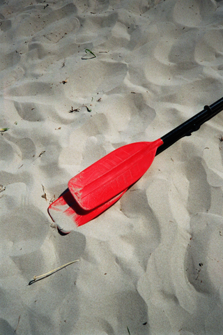 Beach Still-Life