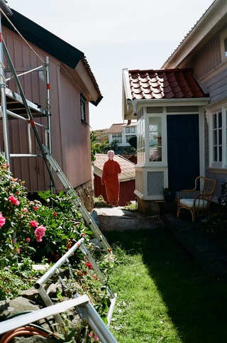 Summer in Sweden 