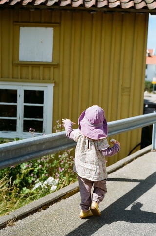 Summer in Sweden 