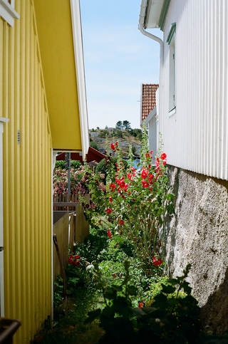 Summer in Sweden 