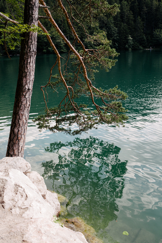 Allgäu 2020