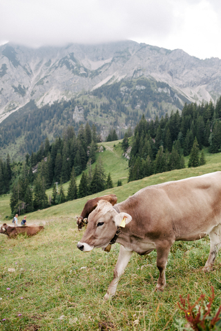 Allgäu 2020