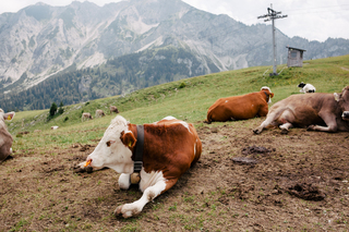 Allgäu 2020