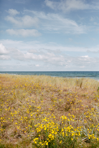 Fischland-Darß 2020 