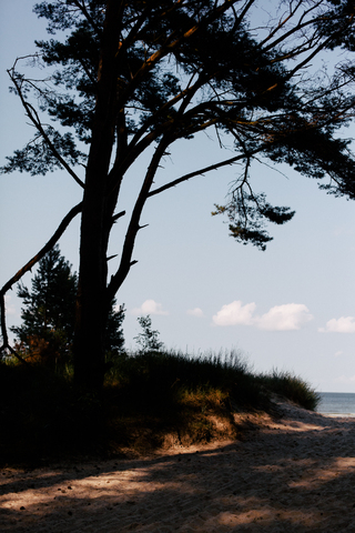 Usedom 2021